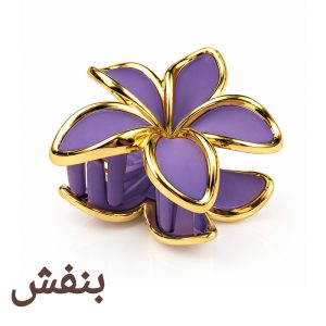 کلیپس مو زنانه مدل پلومریا شمعی مات کاتیا لوکس کد GC-35