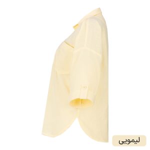 شومیز آستین بلند یقه برگردان زنانه السانا مدل ماهوین کد 2566
