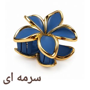 کلیپس مو زنانه مدل پلومریا شمعی مات کاتیا لوکس کد GC-35