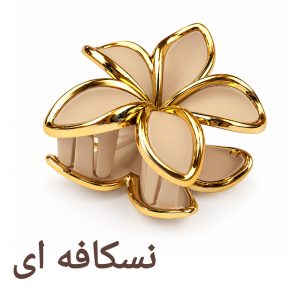 کلیپس مو زنانه مدل پلومریا شمعی مات کاتیا لوکس کد GC-35