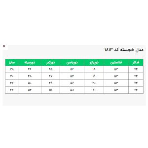 مانتو کتی زنانه السانا مدل خجسته کد 181301